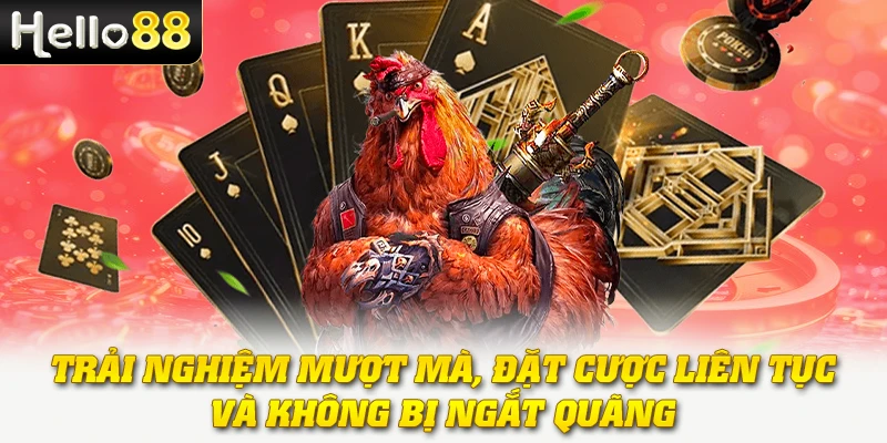 Đá Gà Cựa Dao - Hình Thức Thi Đấu Đầy Kịch Tính Và Gay Cấn 4 Trải nghiệm mượt mà, đặt cược liên tục và không bị ngắt quãng